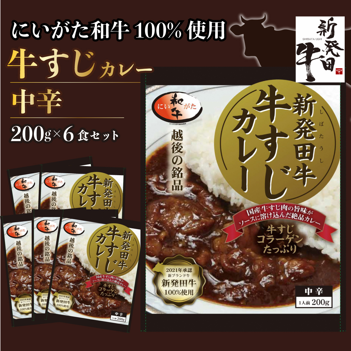 新発田牛　牛すじカレー（６個入） H23_02