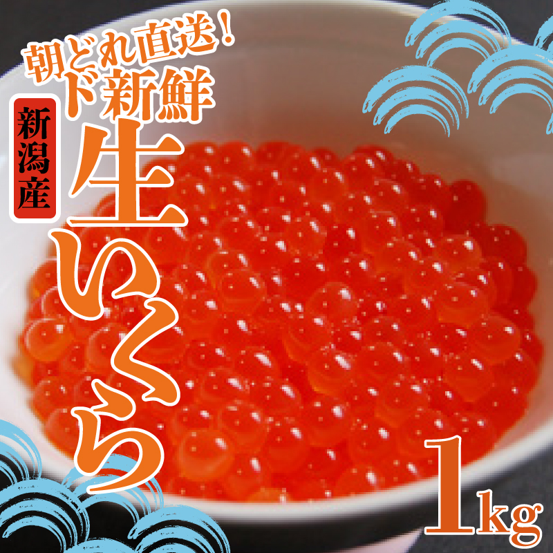 令和6年産 生イクラ 1kg いくら 鮭 生いくら 海鮮 鮮魚 朝どれ 朝採れ とれたて 国産 新潟県産 お正月 おせち 年末 年始 贈答 いくら 魚水島 J40_01