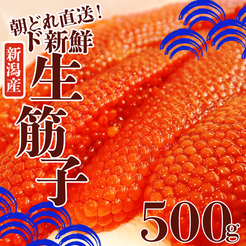 令和6年産 生筋子 500g いくら 鮭 生いくら 海鮮 鮮魚 朝どれ 朝採れ とれたて 国産 新潟県産 お正月 おせち 年末 年始 贈答 いくら はらこ 筋子 魚水島 J51_01