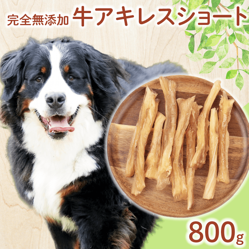 ドッグフード 牛アキレスショート 800g ( 400g × 2袋 ) 牛 ドックフード アキレス ショート ペット おやつ ペット用品 犬用 無添加 無着色 国内製造 安心 安全 自然食品 ケーティーコモディティ KT 新潟県 新発田市 KT026