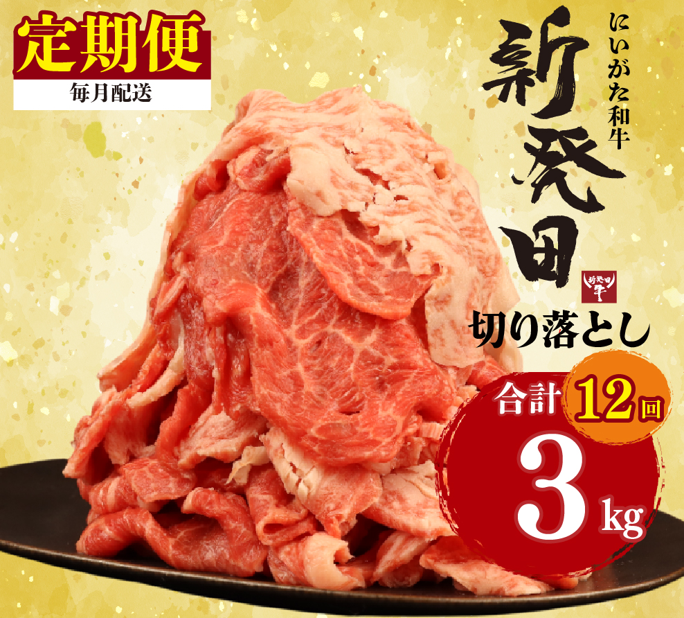【定期便】 切り落とし 250g×12回 計3kg 新発田牛 黒毛和牛 霜降り 和牛 ブランド牛 国産 しゃぶしゃぶ 小間切れ 小分け 贈答 お歳暮 新潟 新発田 新潟県 新発田市 近江牛 神戸牛 松阪牛 米沢牛 三大和牛 に負けない アルビレックス アルビレックス新潟 えのもとミート enomoto025