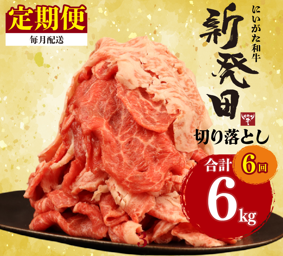 【定期便】 切り落とし 1kg×6回 計6kg 新発田牛 黒毛和牛 霜降り 和牛 ブランド牛 国産 しゃぶしゃぶ 小間切れ 小分け 贈答 お歳暮 新潟 新発田 新潟県 新発田市 近江牛 神戸牛 松阪牛 米沢牛 三大和牛 に負けない アルビレックス アルビレックス新潟 えのもとミート enomoto030