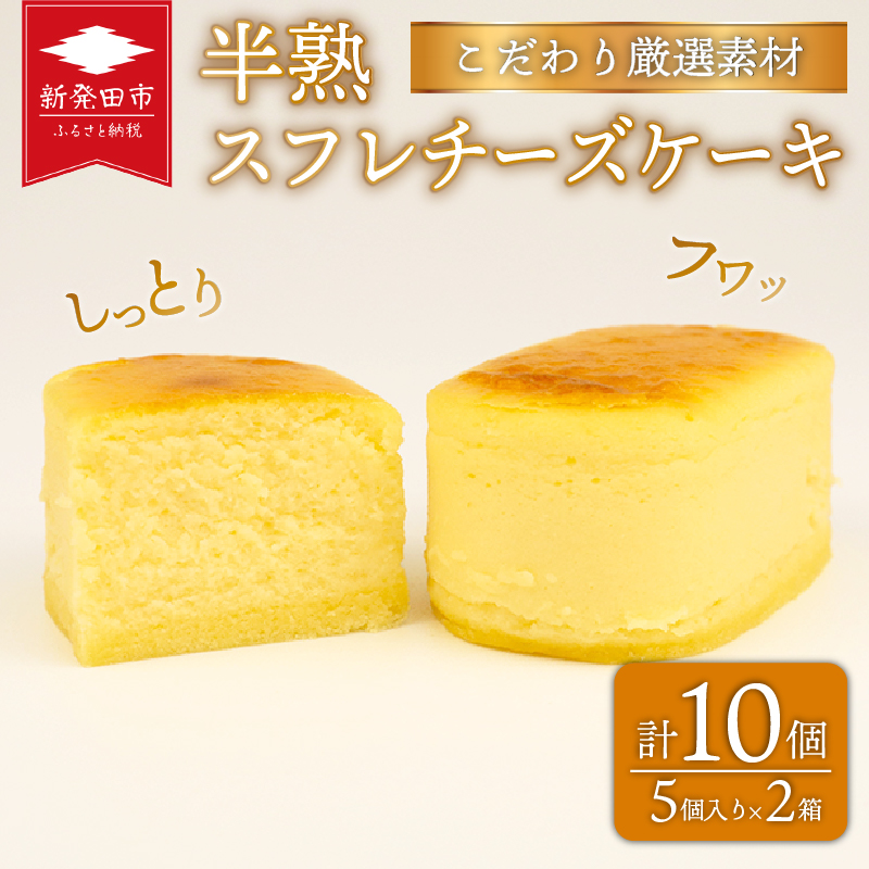 半熟スフレ チーズケーキ10個 5個入り 2箱 贈答 ギフト おすす め 菜菓亭 新潟銘菓 新潟 新発田 いえい 菜菓亭 洋菓子 お歳暮 iei001_02