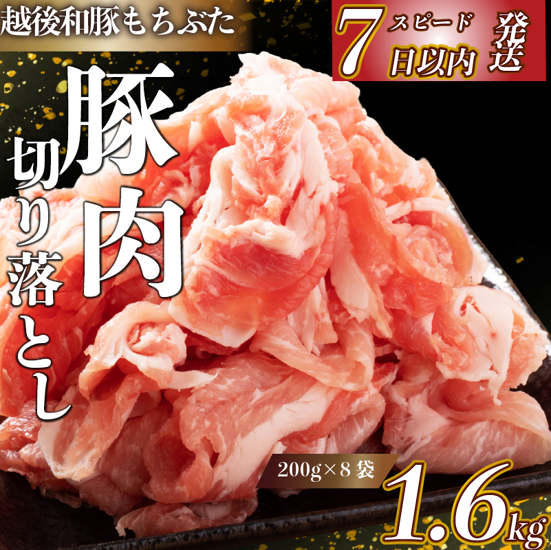 豚肉 切り落とし 和豚 もちぶた 小間切れ 1.6kg ブランド豚 和豚もちぶた ブランド 美味しい豚 豚肉 肉 にく 肉料理 夕食 晩ごはん ポーク おかず 小分け 便利 肉の片山 新潟県 新発田市 katayama004