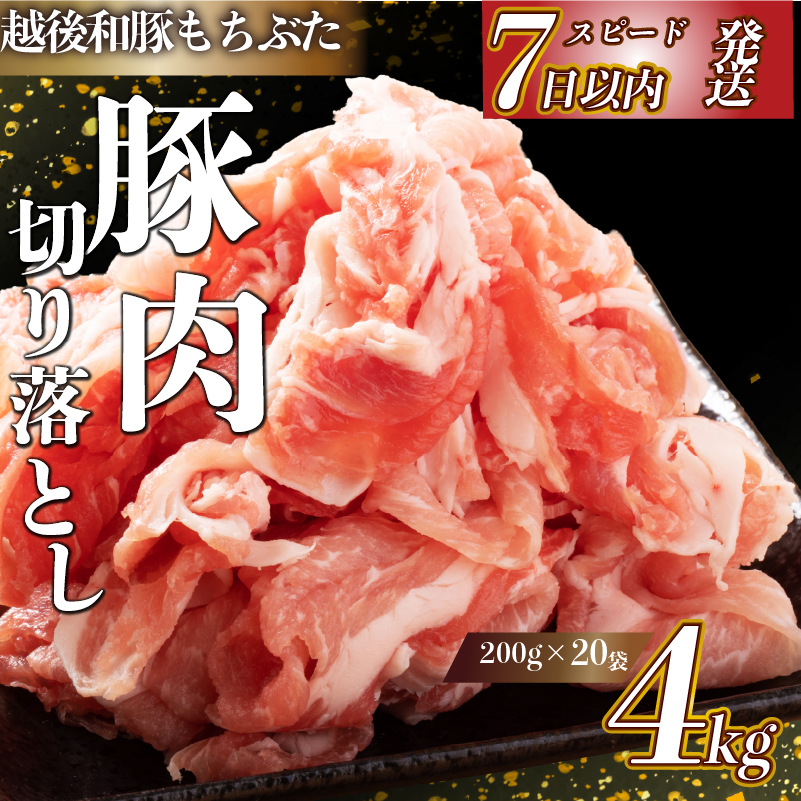 豚肉 切り落とし 和豚 もちぶた 小間切れ 4kg ブランド豚 和豚もちぶた ブランド 美味しい豚 豚肉 肉 にく 肉料理 夕食 晩ごはん ポーク おかず 小分け 便利 肉の片山 新潟県 新発田市 katayama006