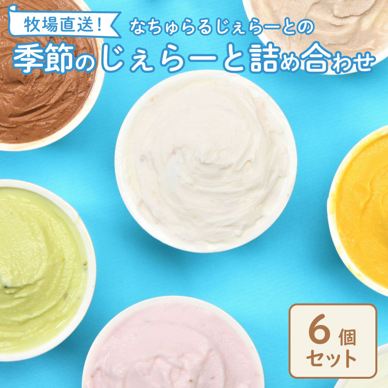 ジェラート  6個入 ミルク ピスタチオ 塩 キャラメル 塩キャラメル いちご 苺 越後姫 ラム レーズン  緑茶 お茶 アイス ジェラート セット 手作り  6個 なちゅらるじぇらーと なかの牧場 新潟 新発田  nakano001
