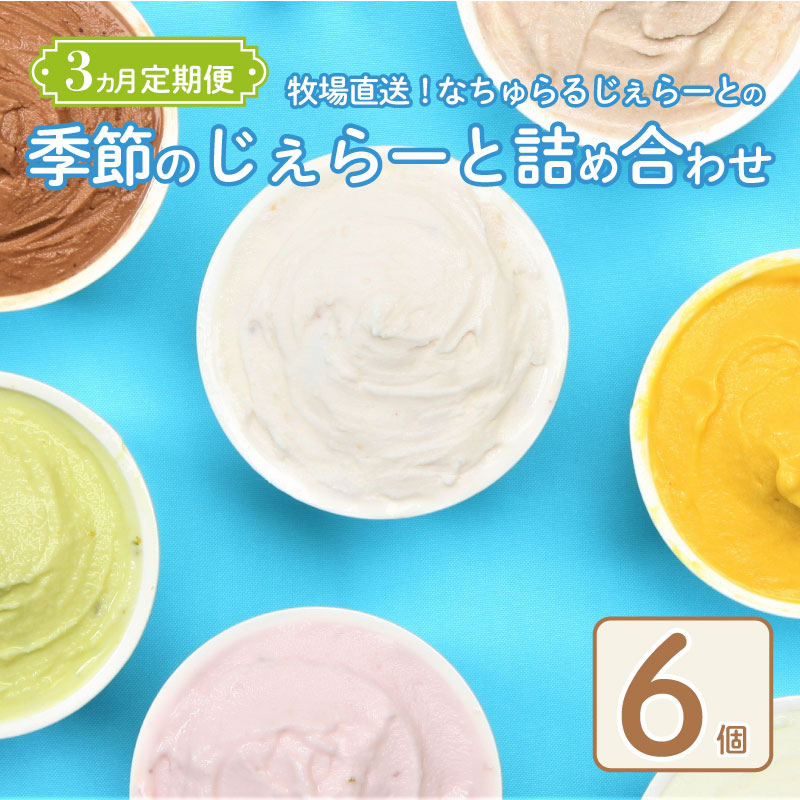 ジェラート 定期便 6個入 3回 ミルク ミルクチョコ 塩キャラメル 緑茶 お茶 季節 ジェラート 季節限定 アイス ジェラート セット 手作り  6個 なちゅらるじぇらーと なかの牧場 新潟 新発田 nakano004