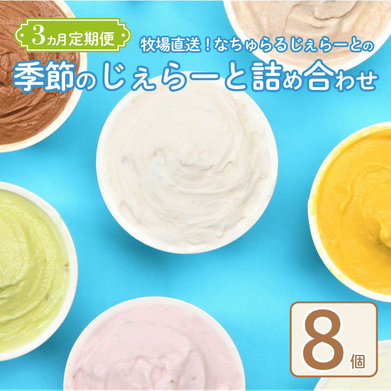 ジェラート 定期便 8個入 3回 ミルク チョコ ブルーベリー チーズ ピスタチオ 塩 キャラメル 塩キャラメル アイス ジェラート セット 季節 限定 季節限定 てづくり なちゅらるじぇらーと なかの牧場 8個 nakano008