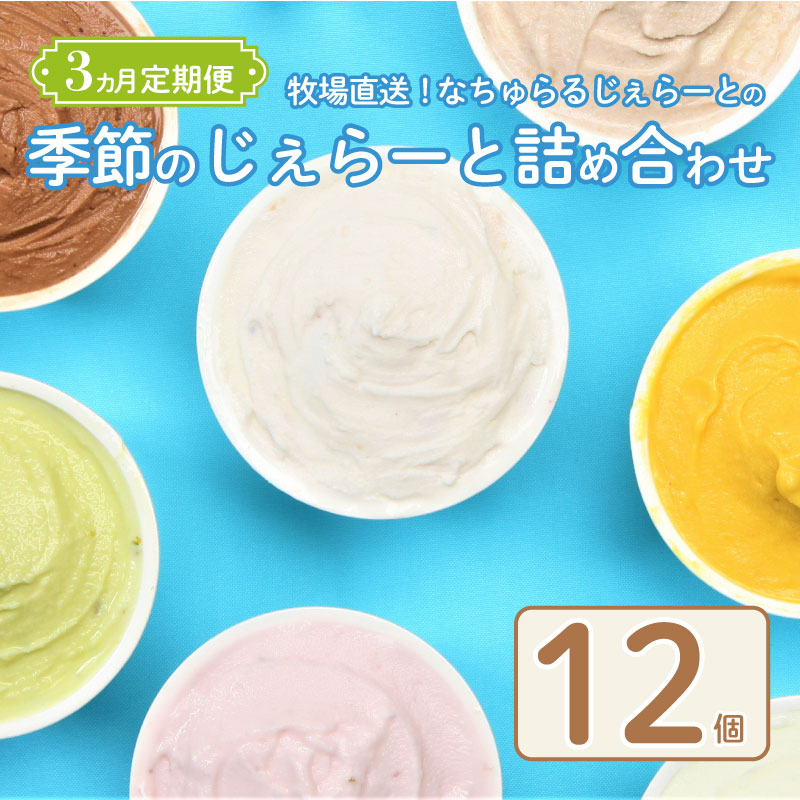 ジェラート 定期便 12個入 3回 ミルク チョコ ブルーベリー チーズ お茶 緑茶 紅茶 ほうじ茶 ラム レーズン ラムレーズン ピスタチオ 塩 キャラメル 塩キャラメル アイス ジェラート セット 季節 お茶 冨士美園 てづくり なちゅらるじぇらーと なかの牧場 12個 nakano012