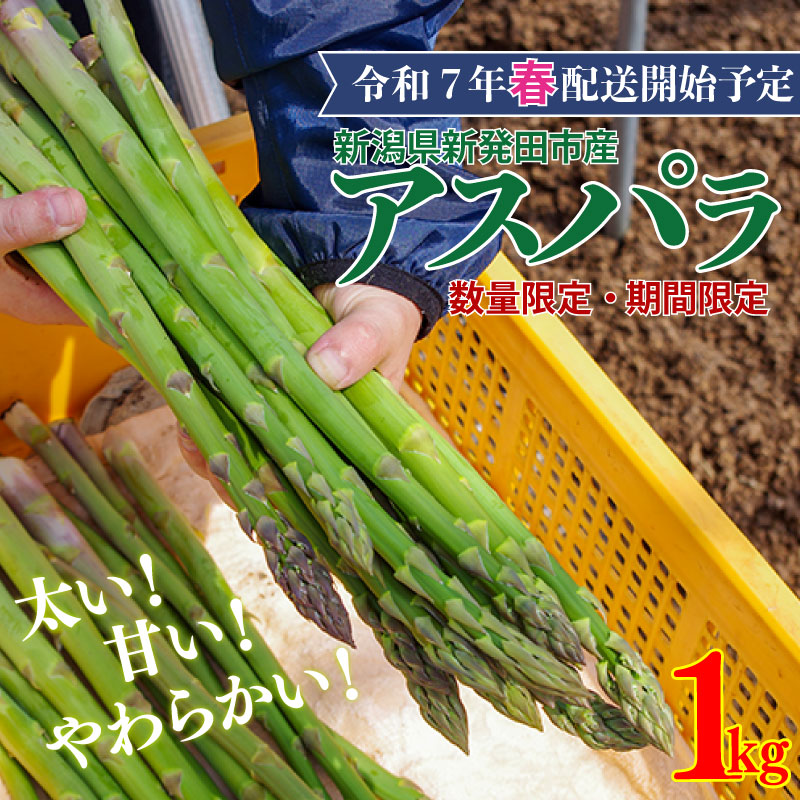 【先行予約】アスパラガス  1kg  約 40本	 野菜 旬 野菜 期間限定 数量限定 甘い 太い 柔らかい 特産品 nozofarm001