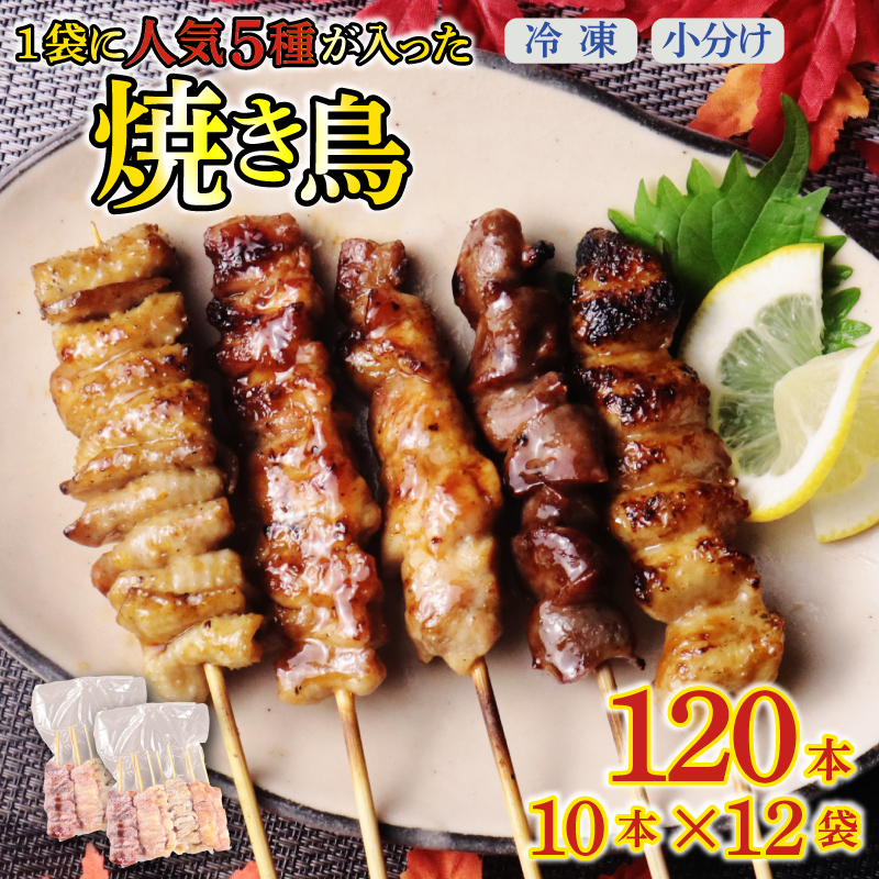  配達日指定可 焼き鳥 120本 もも 皮 せせり 砂肝 ぼんじり 5種盛 10本×12袋 小分け 大容量 やきとり 焼鳥 鶏肉 とりにく とり 鳥 鶏 串 串焼き おつまみ あて ビール BBQ 焼き鳥セット おいしい バーベキュー アウトドア 冷凍 サトウフーズ 新潟県 新発田市 satofoods007