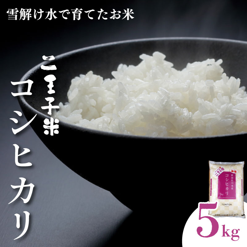 令和7年産 新潟県産 コシヒカリ 5kg 数量限定 特別栽培米 二王子米 新潟産 新潟米 新発田産 新発田 お米 米 kome 白米 ご飯 こめ ごはん ライス ふるさと納税米 コシヒカリ お弁当 食品 せいだ とんとん市場 ブランド米 人気米 玄米 新潟県 新発田市 seida002_02