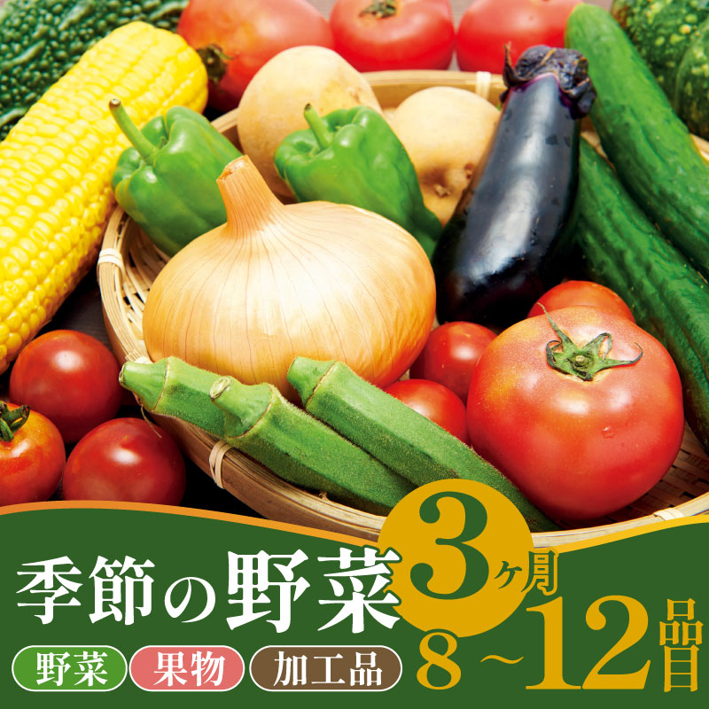 野菜 定期便 3回 8～12種類 旬 おまかせ 野菜BOX 詰め合わせ 野菜定期便 ふるさと納税野菜 やさい ていばん 詰め合わせ セット 産地直送 新鮮 新潟 新発田 seida009_01