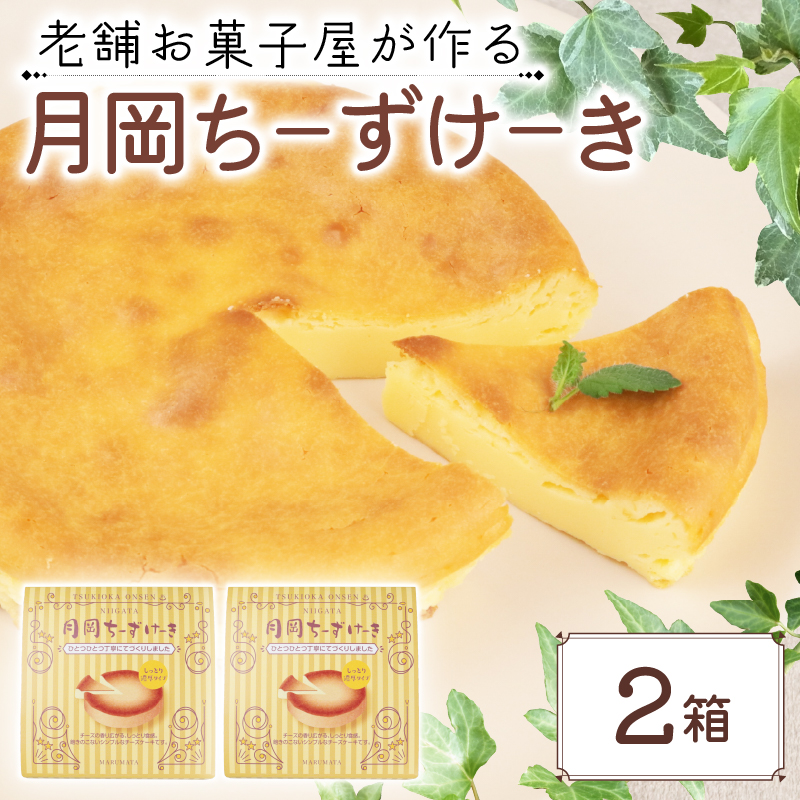 チーズケーキ 2箱 先行予約 手作り お土産 お取り寄せ 常温 チーズ ケーキ お菓子 洋菓子 おやつ デザート まるまた 老舗 月岡温泉 月岡物産 月岡ちーずけーき  新潟 新発田 seida028