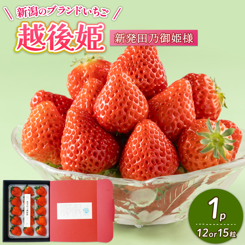 【2026年1月中旬発送開始】 いちご 越後姫 １パック 【 果物 いちご おやつ 健康 フルーツ スイーツ スイーツ作り ケーキ ケーキ作り 数量限定 先行予約 新潟県 新発田市 shibatafarm001 】