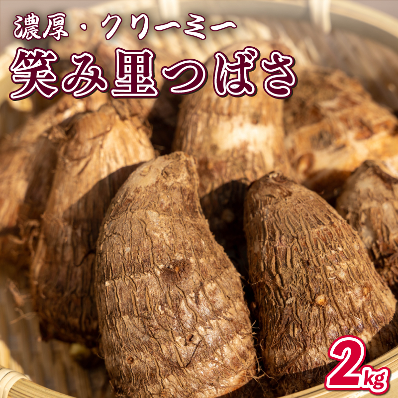 先行予約 里芋 2kg 笑み里つばさ さといも 煮物 産地直送 国産 農家直送 期間限定 数量限定 人気 限定 先行 予約 受付 事前予約 野菜 根菜 高橋農園  新潟県 新発田市 takahashi003
