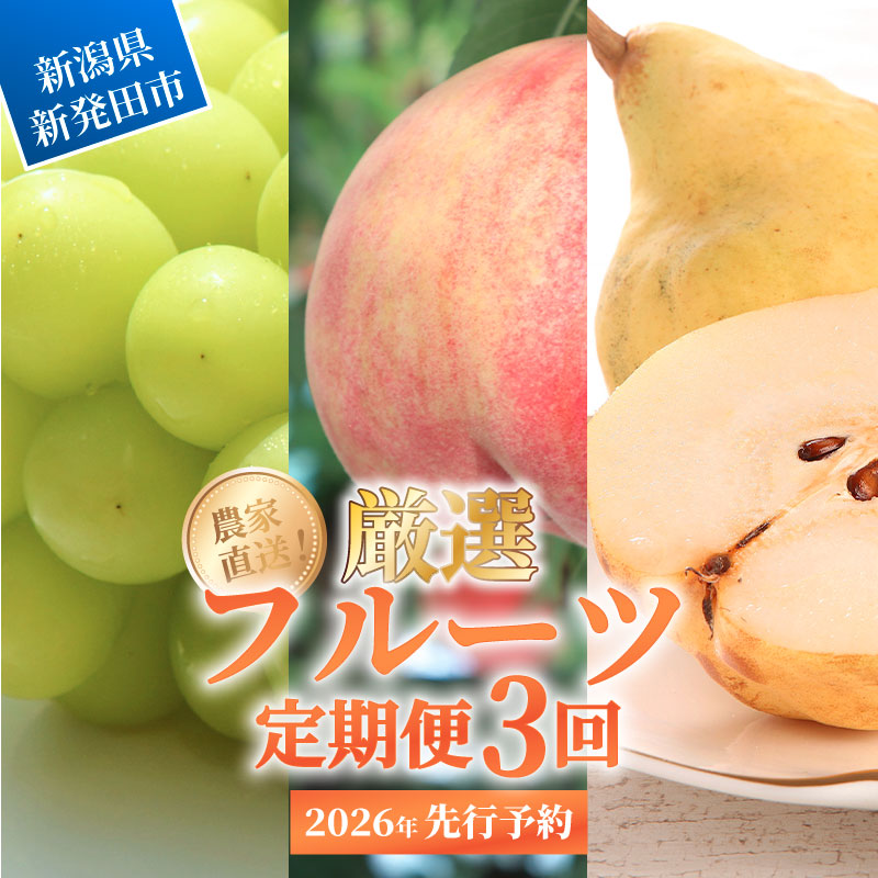 2026年発送 先行予約 果物 定期便 全3回 シャインマスカット 桃 ルレクチェ 洋ナシ ル・レクチェ ぶどう くだもの フルーツ 新潟 新発田 髙橋農園 takahashi004