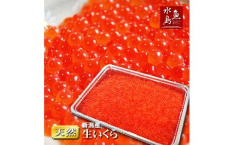 令和6年産 先行予約 生イクラ 500g [ 新潟県産 予約 いくら J50 ]