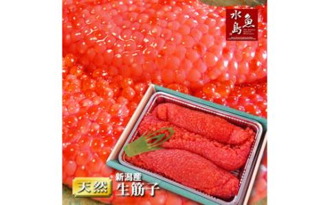 令和6年産 先行予約 生筋子 500g[ 新潟県産 予約 はらこ いくら J51 ]