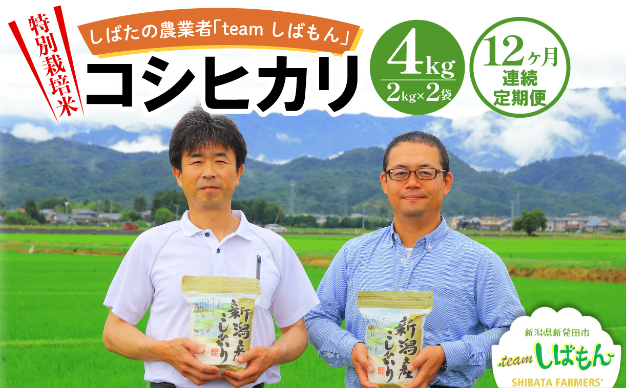 [R7年産先行予約] 新米 定期便 4kg×12ヵ月 特別栽培米コシヒカリ 米 こめ しばもん D30_02