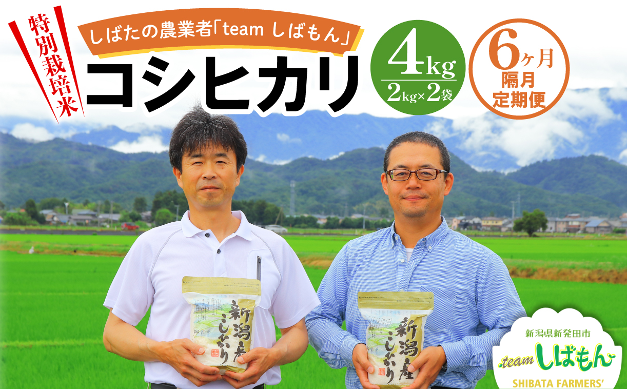 [R7年産先行予約] 新米 定期便 4kg×隔月6回 特別栽培米コシヒカリ 新潟県産 特別栽培米 コシヒカリ 新潟県 新潟産 新発田産 米 しばもん 2kg 6回 定期便 隔月 しばもん D35_02