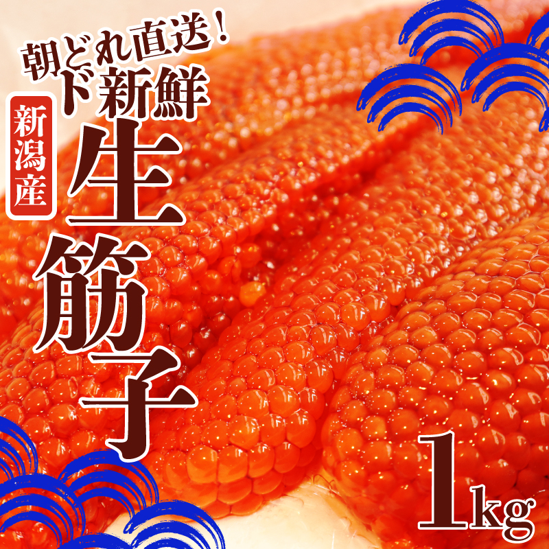 令和6年産 先行予約 生筋子 500g【 新潟県産 予約 はらこ いくら J51 】: 新発田市ANAのふるさと納税