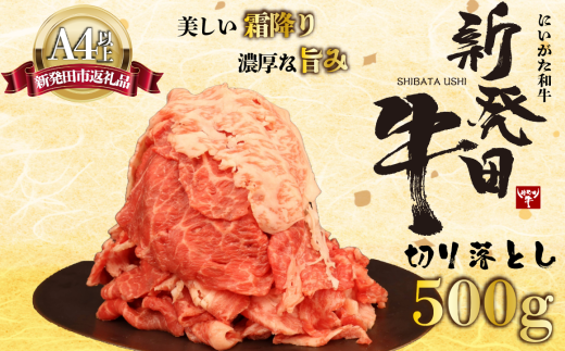 [切り落とし]牛肉 500g 霜降り 新発田牛 ブランド しゃぶしゃぶ 小分け 小間切れ スライス 簡単調理 贈答 お歳暮 新潟 えのもとミート enomoto001