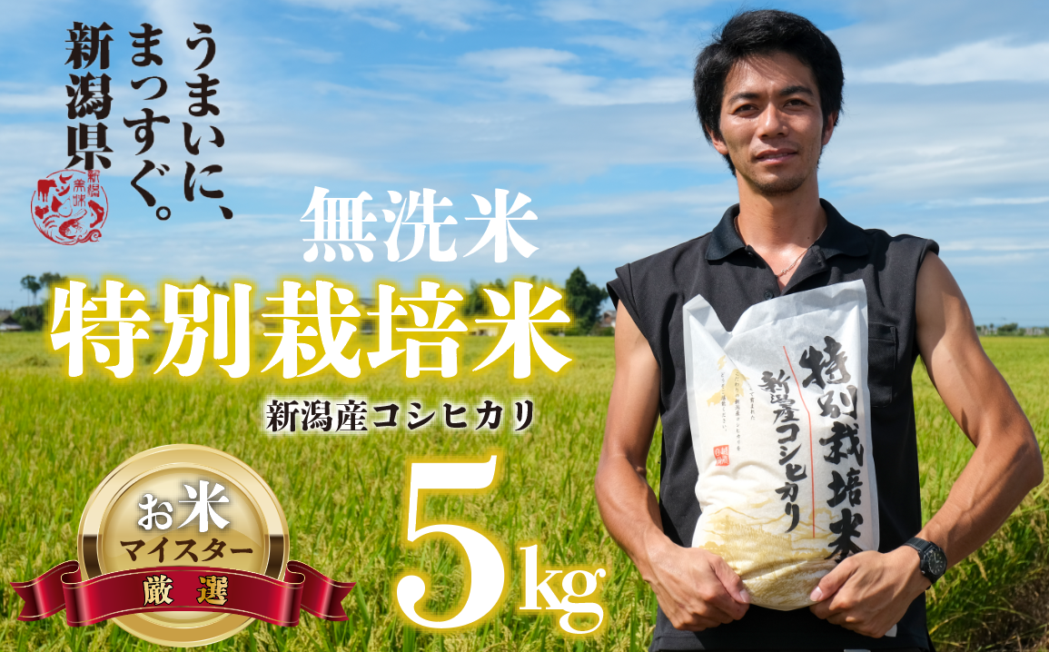 [無洗米]こしひかり コシヒカリ 5kg 特別栽培 こめ ご飯 ごはん 新潟 新発田 令和6年産 toushin001_01