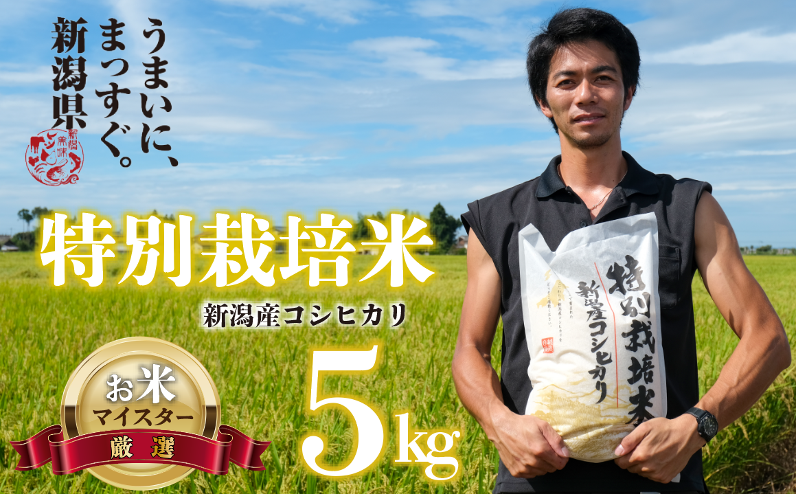 [令和6年産] 新米 コシヒカリ 5kg 予約 越後 えちご 玄米 特別栽培米 新潟 コメ こめ お米 米 しんまい 新潟県 新潟米 新発田市 新発田産 斗伸 toushin002_01