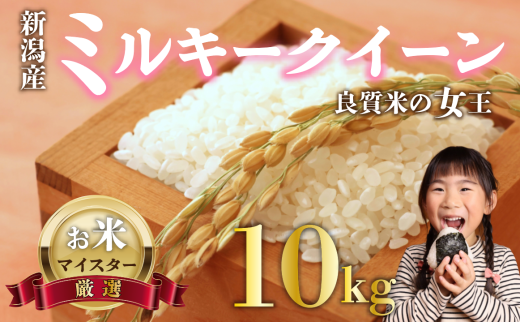 [ミルキークイーン]お米 こめ コメ 10kg 新潟 新発田 令和6年産 ご飯 備蓄 贈答 斗伸 toushin016_01