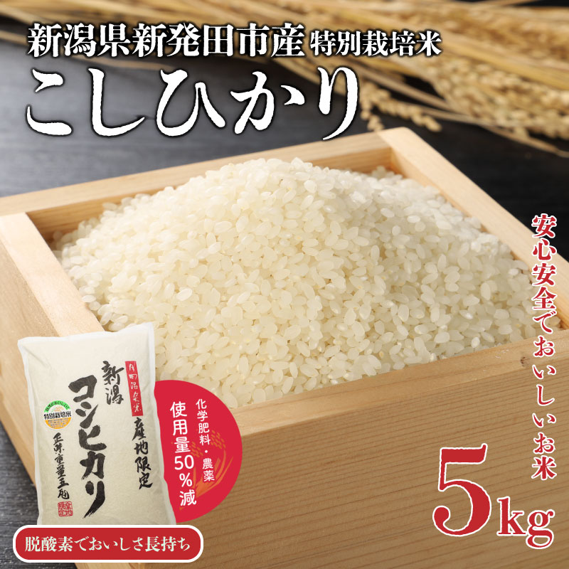 [特別栽培米]こしひかり 5kg 新潟産 新発田産 こめ watasho004