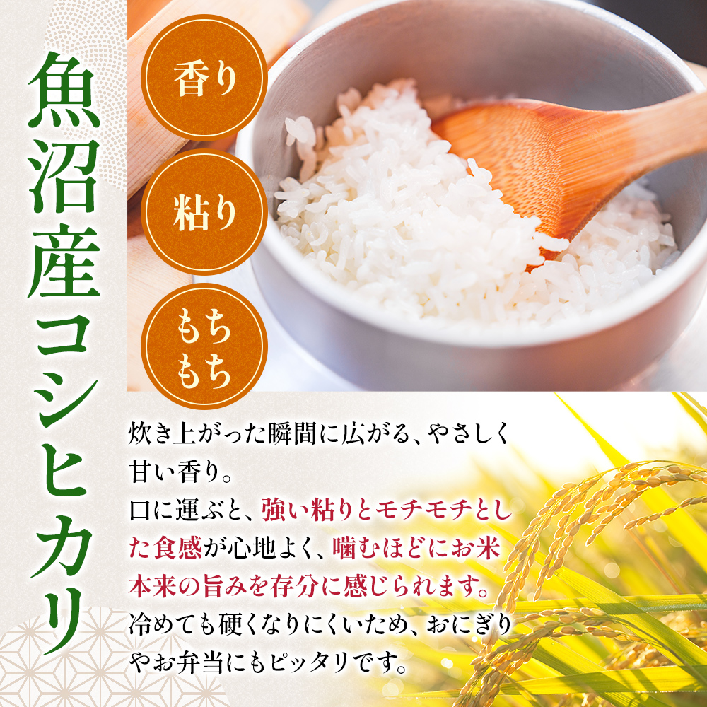 令和7年度産【十日町産】 魚沼産コシヒカリ5kg 米 お米 こしひかり 精米 新潟