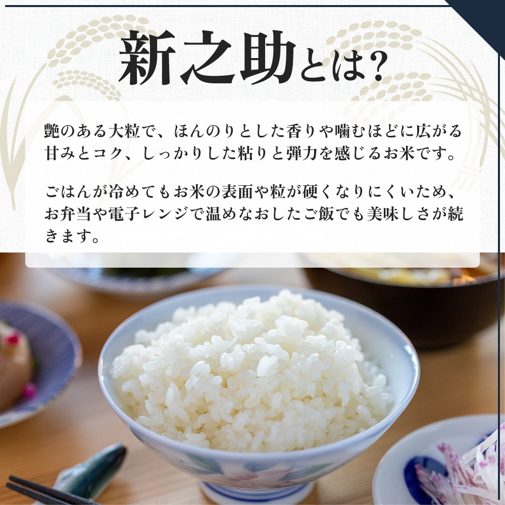 令和7年産 魚沼産 新之助 10kg(5kg×2袋) お米 米 コメ