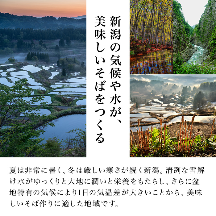 十日町名産へぎそば（4人前つゆ付）［TH-09］