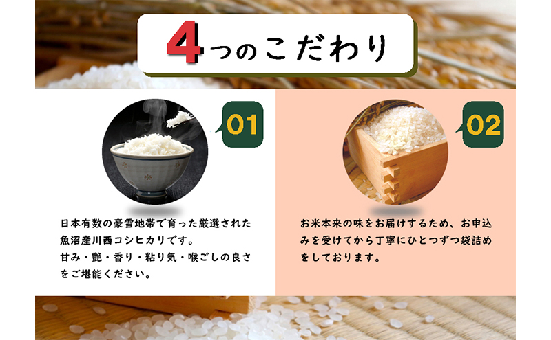 数量限定 従来品種 魚沼産コシヒカリ 精米 5kg×2
