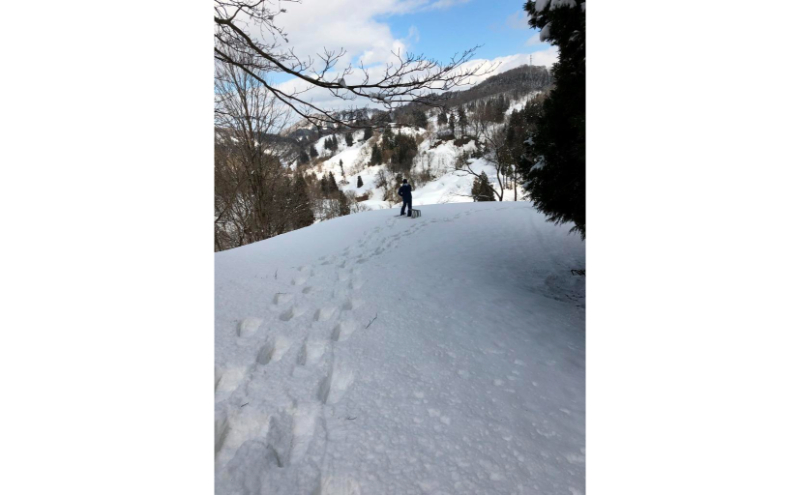 2024年“選べる”北越急行イベントご招待券