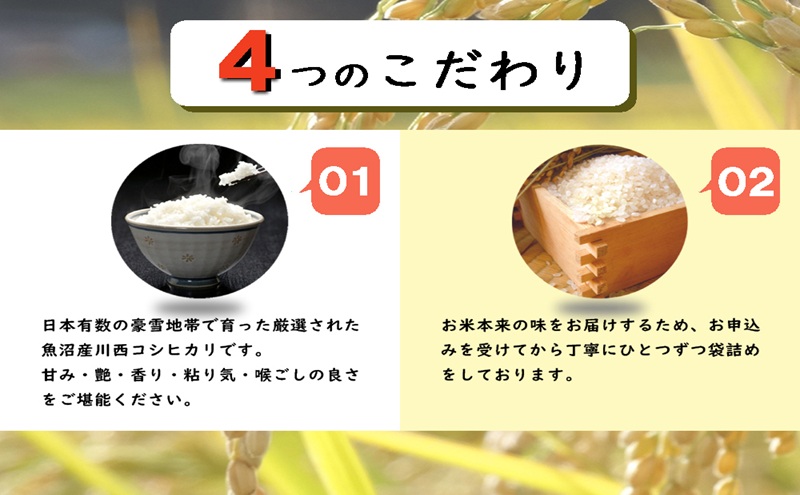 魚沼産コシヒカリ　厳選　低温管理　自社精米　5kg×2袋　新潟　こしひかり