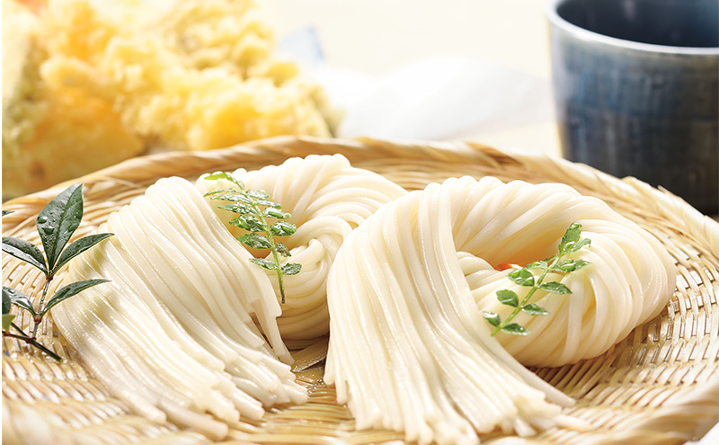 ざるうどんセット