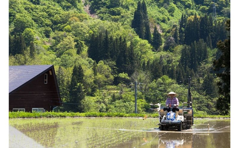 江戸伝承棚田米４Kg（２kg×２）