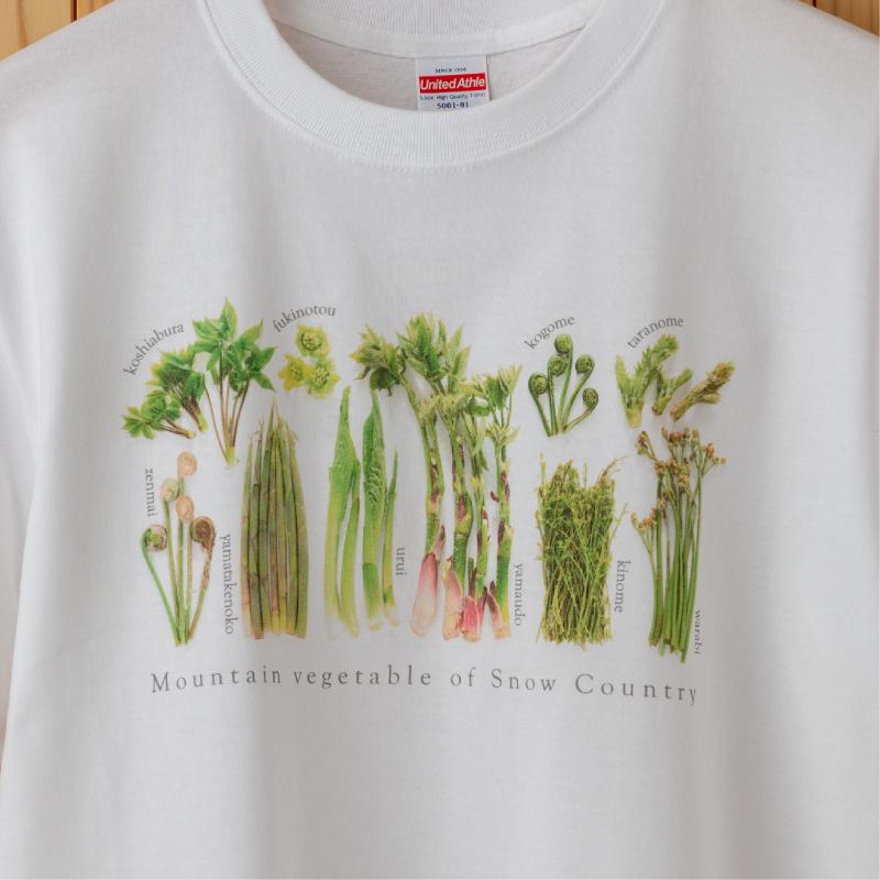 世界で唯一!着る山菜!!【山菜図鑑Tシャツ・白】綿100%　Sサイズ