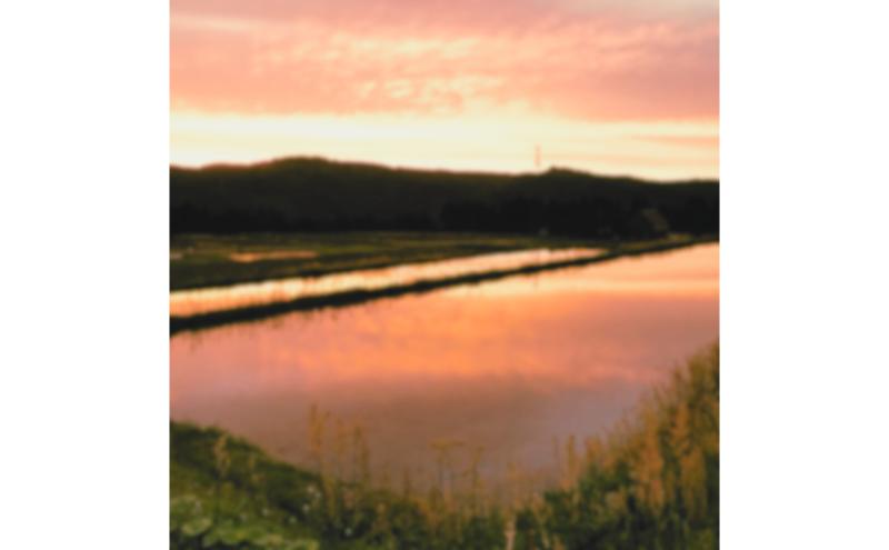 令和７年産【１０月発送開始！】魚沼産特別栽培米コシヒカリ［清津の恵］精米2kg（１kgx2袋）