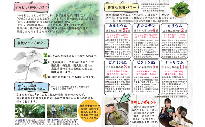 【豊富な栄養！】雪国越後十日町からむし麺（うどん） 10束入りギフト（200g×10束）