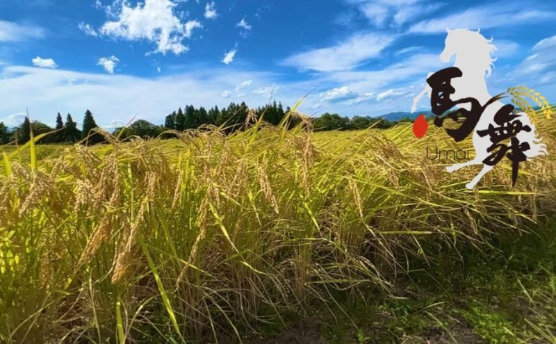 魚沼産コシヒカリ「馬舞」玄米5kg