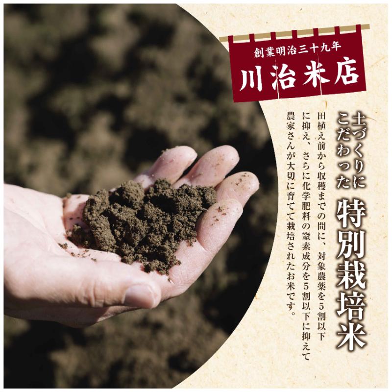 令和7年産 魚沼産 コシヒカリ 特別栽培米 2kg 米 こしひかり お米 コメ 新潟 魚沼 魚沼産 白米 送料無料 新潟県産 精米 産直 産地直送 契約農家 お取り寄せ 魚沼三昧 川治米店 新潟県 十日町市 もちもち