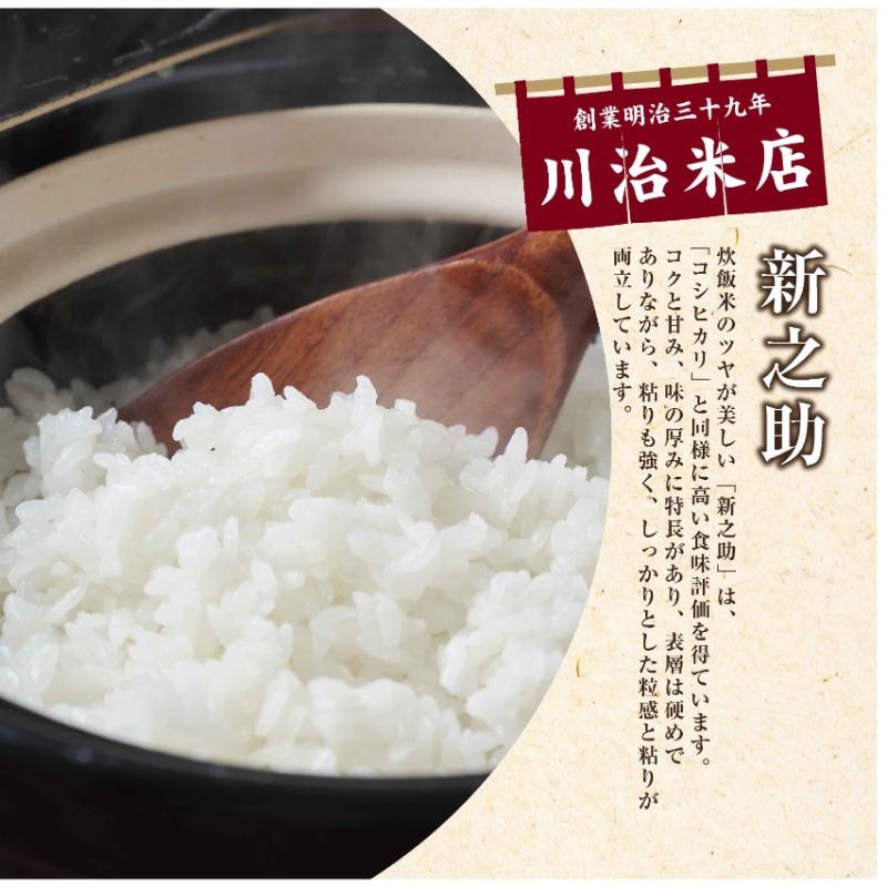 令和7年産 魚沼産 新之助 5kg×2 米 お米 コメ プレミアム米 新潟 魚沼 魚沼産 白米 送料無料 新潟県産 精米 産直 産地直送 契約農家 お取り寄せ 魚沼三昧 川治米店 新潟県 十日町市 大粒 甘み