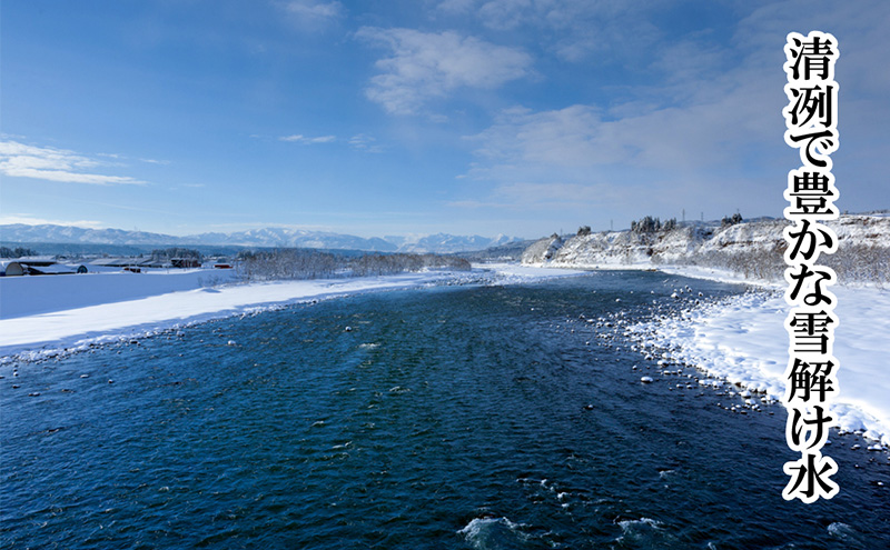 定期便 全3回 特別栽培米 魚沼産コシヒカリ 5kg