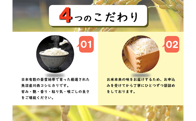 【定期便／3ヶ月】魚沼産川西こしひかり2kg