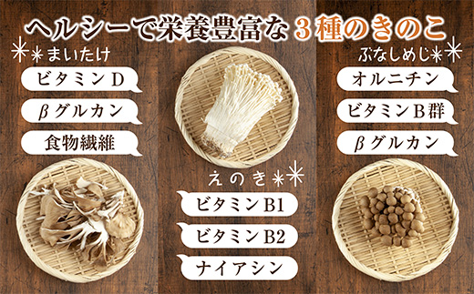 乾燥きのこ 3種セット（まいたけ・えのき・ぶなしめじ）／国産 乾燥 ぶなしめじ 30g まいたけ 30g えのき 50g 各1袋 しめじ 舞茸 エノキ ドライ きのこ キノコ 無添加 国産 出汁