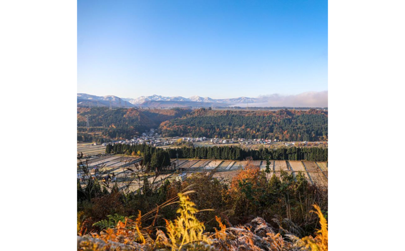 令和7年産！魚沼産 新之助【農家直送!】5kg×1袋 お米 米 コメ