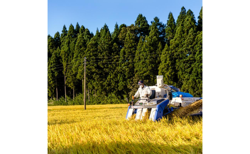 令和7年産！魚沼産 新之助【農家直送!】5kg×2袋 お米 米 コメ